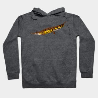 False Gharial Tomistoma Hoodie